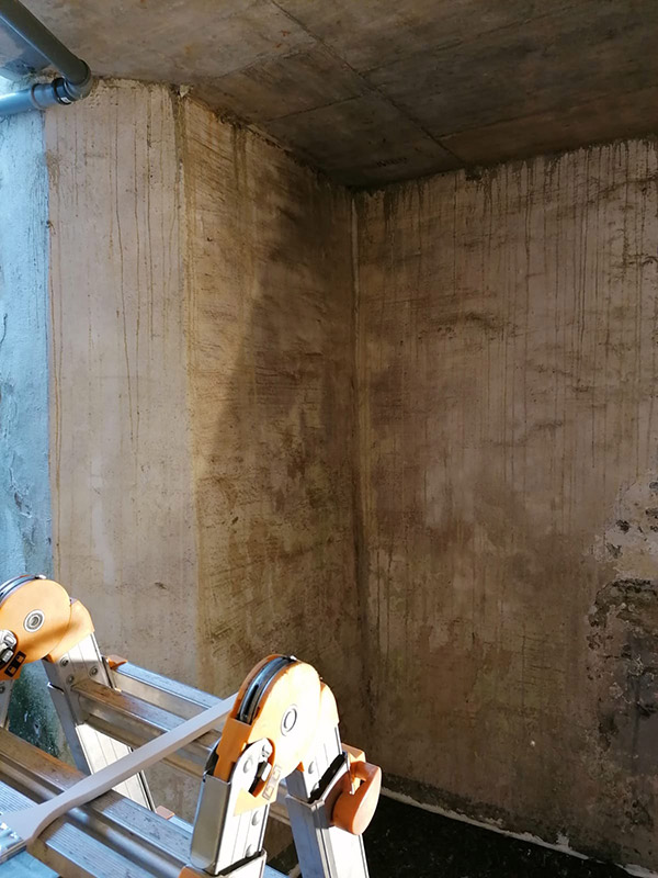 Before image