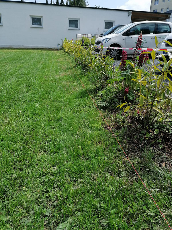 Before image