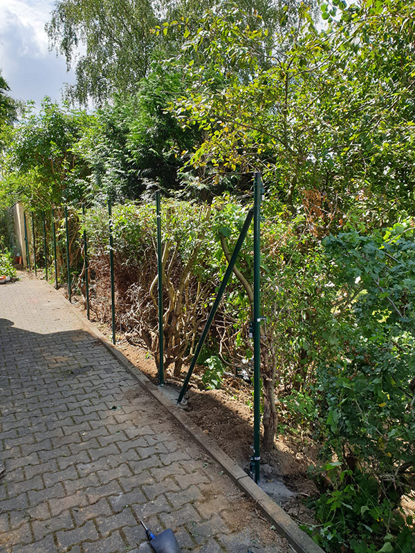 Before image